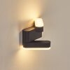 Fanek Lampe murale d´extérieur, Luminaire Up & Down, Applique murale LED Anthracite, 2 lumières