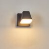 Fanel Lampe murale d´extérieur, Applique murale, Spot mural LED Anthracite, 1 lumière