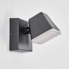 Fanel Lampe murale d´extérieur, Applique murale, Spot mural LED Anthracite, 1 lumière