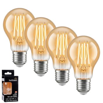 E27 LED 7 Watt blanc chaud 630 Lumen