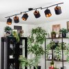 Alsen Plafonnier, Spot de plafond Noir, 6 lumières