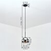 Ripoll Suspension, Boule lumineuse, Suspension Chrome, Clair, Fumé, 1 lumière