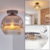 Ripoll Plafonnier, Boule lumineuse Chrome, Clair, Fumé, 1 lumière