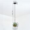 Ripoll Suspension, Boule lumineuse, Suspension Vert, 1 lumière