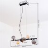 Chehalis Suspension, Boule lumineuse, Suspension Ambre, Clair, Fumé, 8 lumières