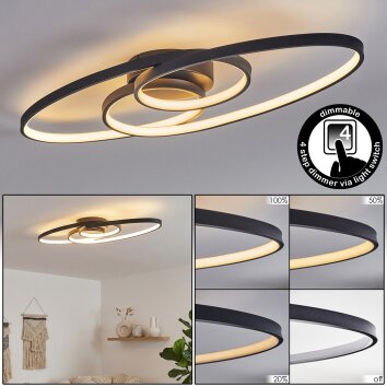 Lunik Plafonnier LED Noir, 1 lumière