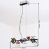 Chehalis Suspension, Boule lumineuse, Suspension Bleu, Vert, Clair, Cuivré, 8 lumières