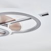 Gorin Plafonnier LED Champagne, Chrome, Argenté, 1 lumière
