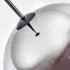 Ripoll Suspension, Boule lumineuse, Suspension Chrome, Fumé, 1 lumière
