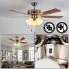 Stelo Plafonnier, Ventilateur de plafond lumineux Écru, Nickel mat, Argenté, 3 lumières