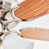 Stelo Plafonnier, Ventilateur de plafond lumineux Écru, Nickel mat, Argenté, 3 lumières