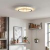 Lidor Plafonnier LED Gris, Blanc, 1 lumière