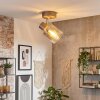 Casterk Plafonnier, Spot de plafond Brun, Chrome, 1 lumière