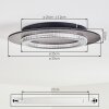 Lidor Plafonnier LED Anthracite, Gris, 1 lumière
