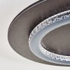 Lidor Plafonnier LED Anthracite, Gris, 1 lumière