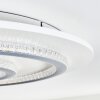 Lidor Plafonnier LED Gris, Blanc, 1 lumière, Télécommandes