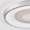 Dakon Plafonnier LED Champagne, Blanc, 1 lumière