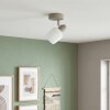 Sivol Plafonnier, Spot de plafond Nickel mat, Sable, 1 lumière