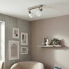 Sivol Plafonnier, Spot de plafond Nickel mat, Sable, 2 lumières