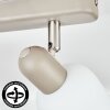 Sivol Plafonnier, Spot de plafond Nickel mat, Sable, 2 lumières