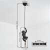Evelis Suspension, Suspension Or, Noir, 1 lumière