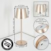 Salgadinho Lampe de table d'extérieur, Lampe à poser LED Champagne, 1 lumière