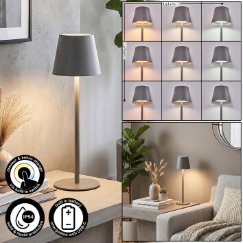 Salgadinho Lampe de table d'extérieur, Lampe à poser LED Gris, 1 lumière