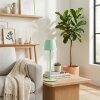 Salgadinho Lampe de table d'extérieur, Lampe à poser LED Vert, 1 lumière