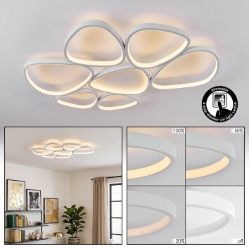 Molin Plafonnier LED Blanc, 1 lumière