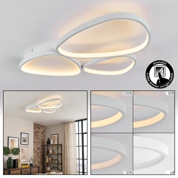 Molin Plafonnier LED Blanc, 1 lumière