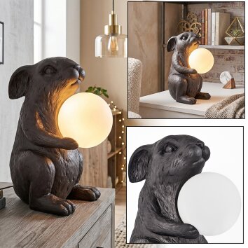 Jerok Lampe à poser Noir, 1 lumière