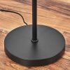 Deran Lampadaire Noir, 1 lumière