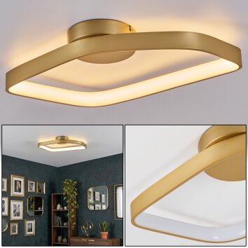 Talora Plafonnier LED Laiton, 1 lumière