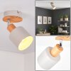 Olaris Plafonnier, Spot de plafond Chrome, Gris, Écru, 1 lumière