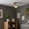 Olaris Plafonnier, Spot de plafond Chrome, Gris, Écru, 1 lumière