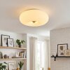 Molak Plafonnier Nickel mat, 2 lumières