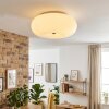 Molak Plafonnier Nickel mat, 2 lumières