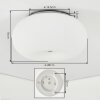 Molak Plafonnier Nickel mat, 2 lumières