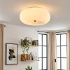 Molak Plafonnier Nickel mat, 2 lumières