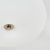Molak Plafonnier Nickel mat, 2 lumières