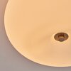 Molak Plafonnier Nickel mat, 2 lumières