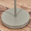 Kolin Lampadaire Sable, 1 lumière