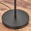 Kolin Lampadaire Noir, 1 lumière