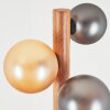 Lorin Lampadaire LED Brun foncé, Écru, Noir, 6 lumières