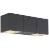 Applique murale d'extérieur AEG Daveen LED Anthracite, 2 lumières