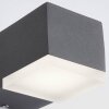 Applique murale d'extérieur AEG Amity LED Anthracite, 1 lumière