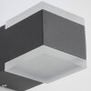 Applique murale d'extérieur AEG Amity LED Anthracite, 2 lumières