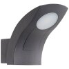 Applique murale d'extérieur AEG Brynna LED Anthracite, 1 lumière