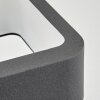 Faren Lampe murale d´extérieur, Luminaire Up & Down, Applique murale LED Anthracite, 1 lumière