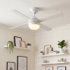 Lenok Ventilateur de plafond lumineux LED Couleur bois, Blanc, 1 lumière, Télécommandes